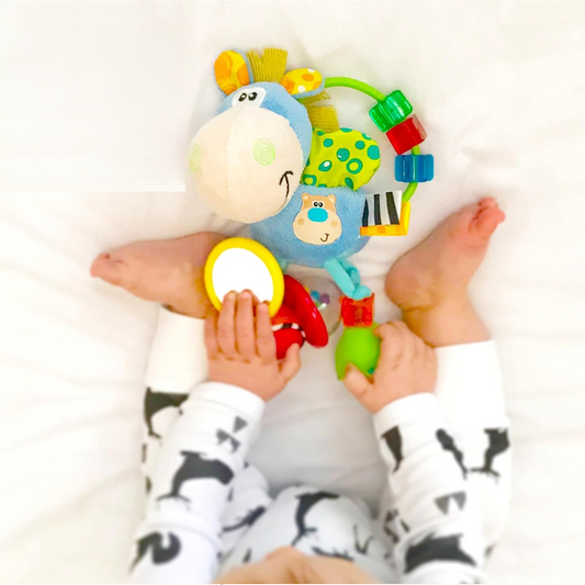 PLAYGRO Clip Clop sensorisch speelgoed met rammelaar, spiegeltje, grijper
