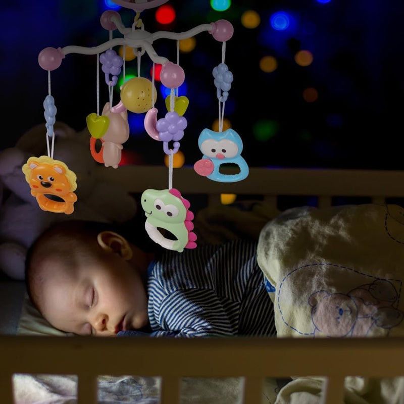 AOLSO carousel with projector + remote control