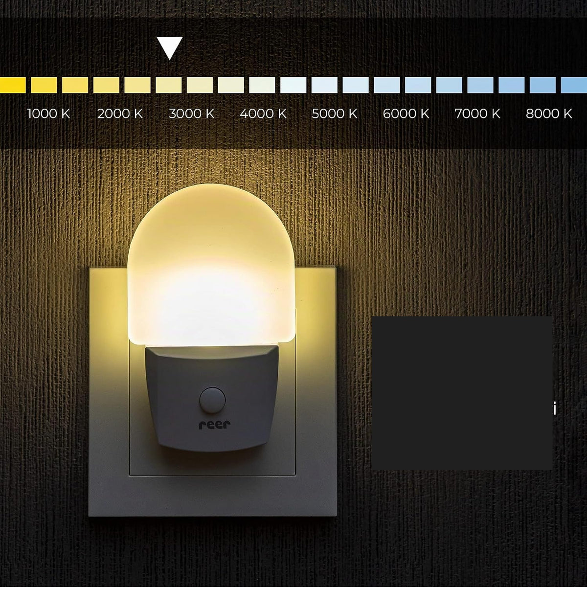 REER NightGuide LED nočna lučka za vtičnico s stikalom 6 x 9,5 cm