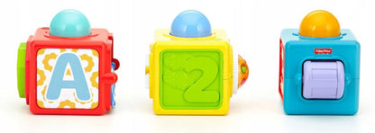FISHER-PRICE DHW15 interaktivne kocke z živalmi 6 m+