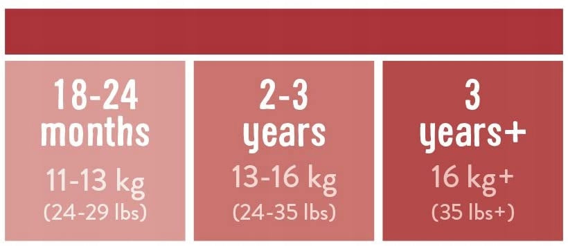 BAMBINO MIO braguitas de entrenamiento cebra 2-3 años
