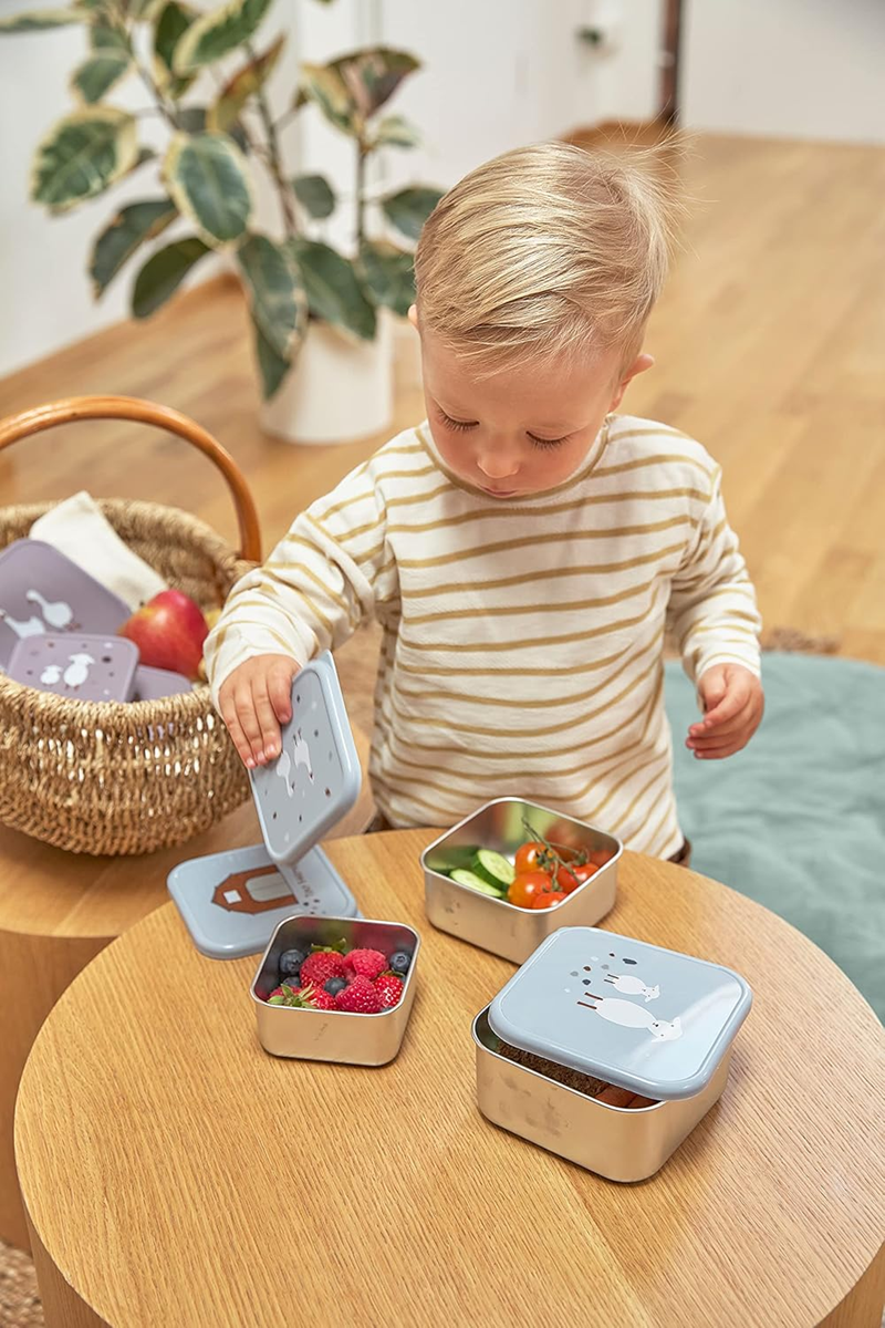 LASSIG Snackbox set de cajas de acero para snacks x3
