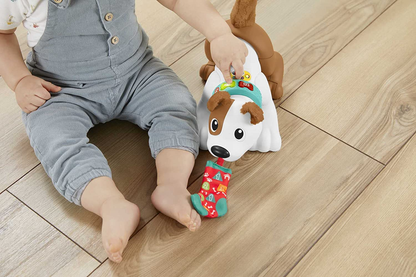 FISHER-PRICE interaktywny PIESEK j. niemiecki, multikolorowa zabawka edukacyjna dla niemowląt 6 m+ z miękkimi elementami