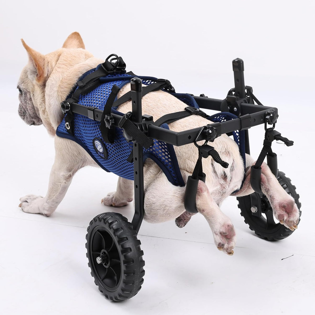 Kajile wózek dla małego psa składany XS, niebieski wózek transportowy z uprzężą dla psa