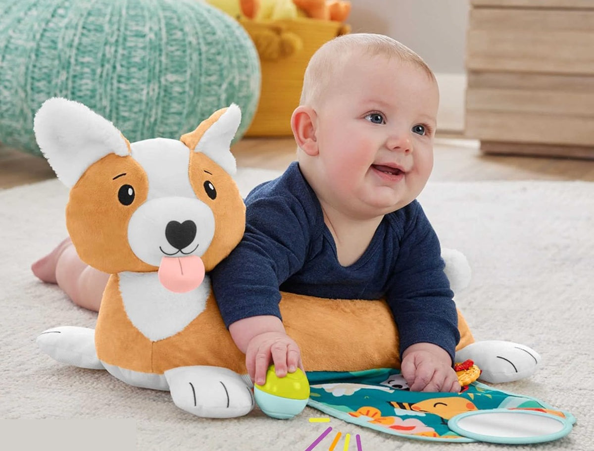 FISHER-PRICE HJW10 σκυλάκι για παιχνίδι στην κοιλίτσα 29,2 x 43,2 εκ.