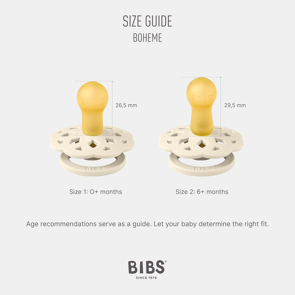 BIBS BOHEME dude 2pack 6 mesecev+