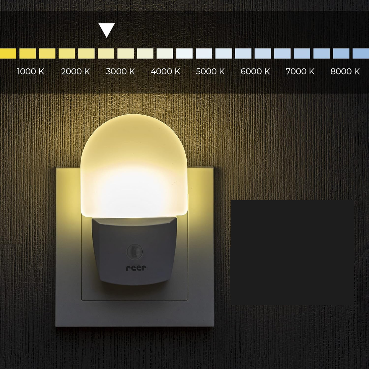 REER NightGuide LED-nočna lučka za vtičnico, senzor teme 6 x 9,5 cm