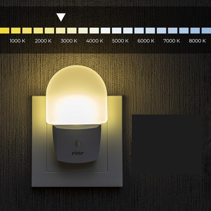 REER NightGuide LED-nočna lučka za vtičnico, senzor teme 6 x 9,5 cm