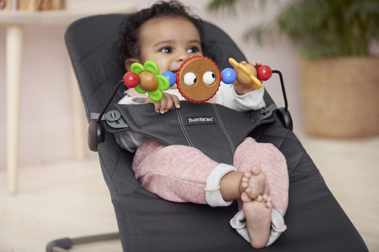 BABYBJORN boog met speelgoed voor de schommelstoel