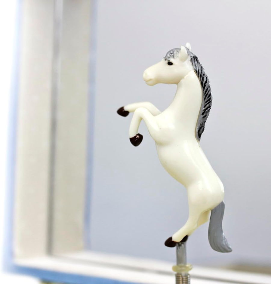 TROUSSELIER caballo Camargue caja de música de cuerda que brilla en la oscuridad Schubert Canción de cuna