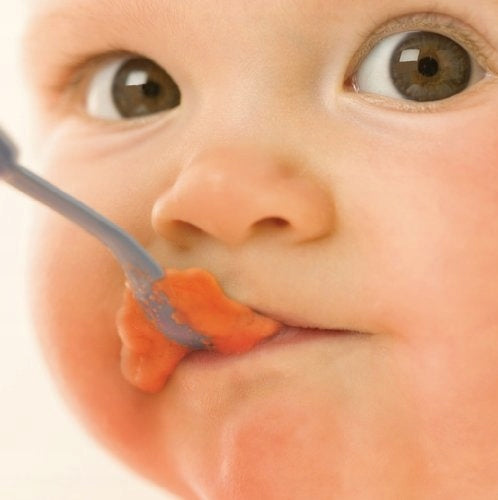 PHILIPS AVENT SCF870/20 2w1 parowar mikser 800 ml - baby food maker do przygotowania posiłków dla niemowląt