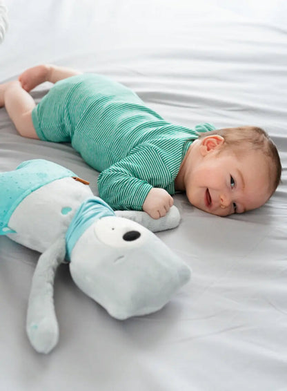 MyHummy szumiś przytulanka czujnik płaczu MIŚ SIMON 24 cm, beżowo-błękitny, dla niemowląt