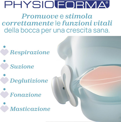 CHICCO PhysioForma duda x4 6-16m