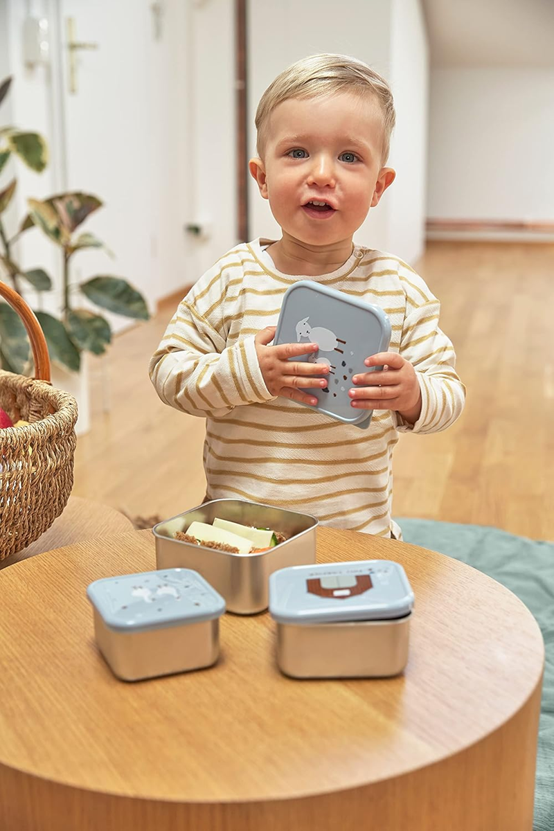 LASSIG Snackbox set de cajas de acero para snacks x3