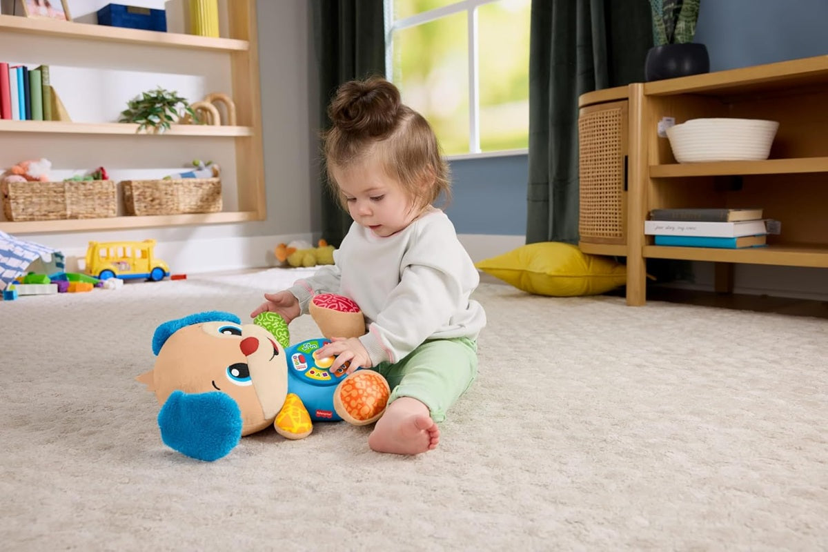 FISHER-PRICE JFD21 кученце учениче 5 езика SWE DAN FIN NOR